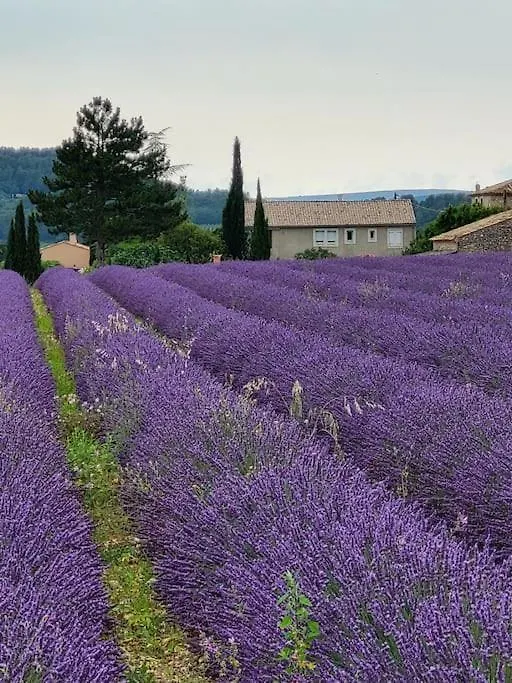 La Grange Des Joumillons Villa Saint-Saturnin-les-Apt